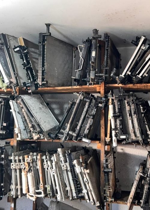 WhatsApp Image 2025-09-03 at 15.56.25