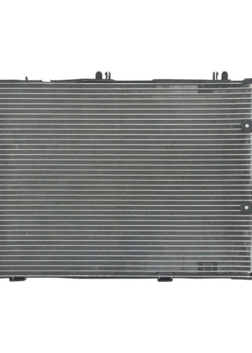 WhatsApp Image 2025-09-03 at 16.00.57 (1)