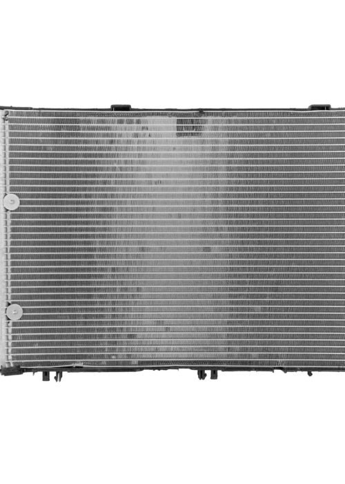 WhatsApp Image 2025-09-03 at 16.00.57