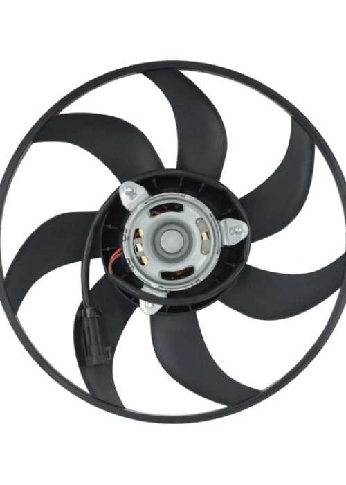 WhatsApp Image 2025-09-03 at 16.00.58 (1)